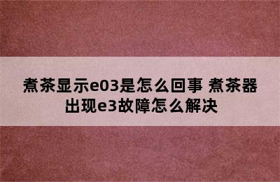 煮茶显示e03是怎么回事 煮茶器出现e3故障怎么解决